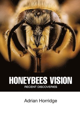 Honeybees Vision 1