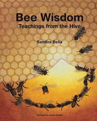 bokomslag Bee Wisdom - Teachings from the Hive