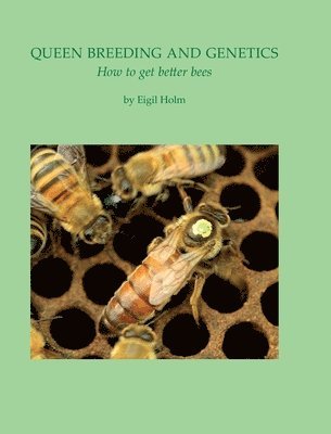 bokomslag Queen Breeding and Genetics - How to get better bees