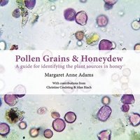 bokomslag Pollen Grains & Honeydew