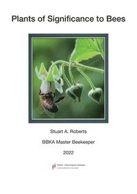 bokomslag Plants of Significance to Bees