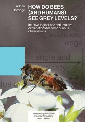 How Do Bees (and Humans) See Grey Levels? 1