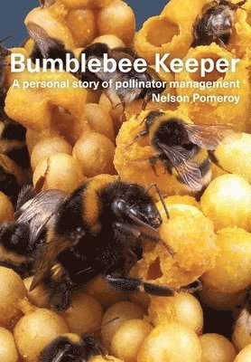 bokomslag Bumblebee Keeper