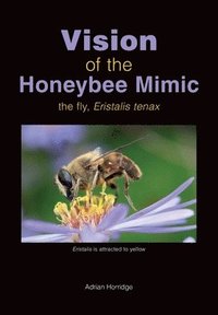 bokomslag Vision of the Honeybee Mimic