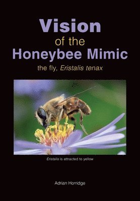 bokomslag Vision of the Honeybee Mimic