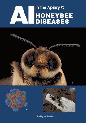 AI in the Apiary (c) HONEYBEE DISEASES 1