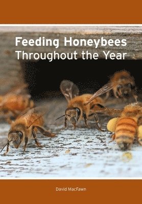bokomslag Feeding Honeybees Throughout the Year