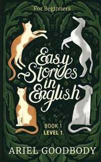 bokomslag Easy Stories in English for Beginners