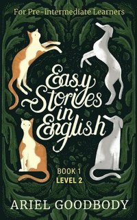 bokomslag Easy Stories in English for Pre-Intermediate Learners