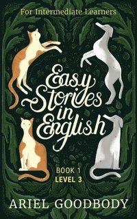 bokomslag Easy Stories in English for Intermediate Learners