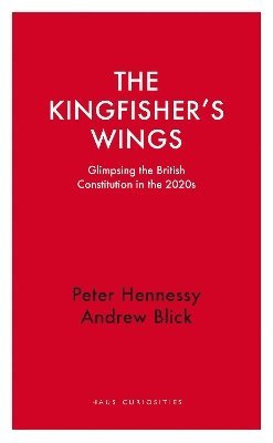 bokomslag The Kingfisher's Wings