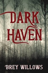 bokomslag Dark Haven