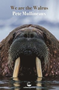 bokomslag We Are the Walrus