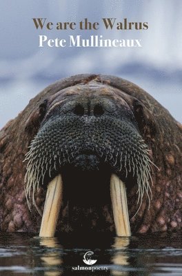 Pete Mullineaux - We Are The Walrus, Häftad. Tillgänglighet: Lägg i varukorg
