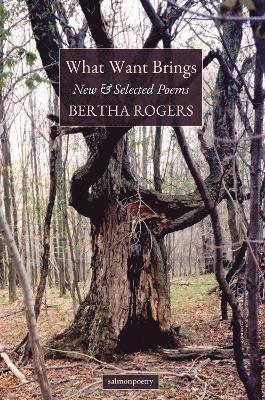 Bertha Rogers - What Want Brings, Häftad