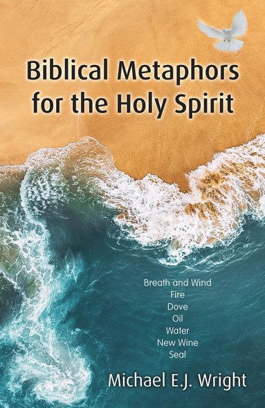 bokomslag Biblical Metaphors for the Holy Spirit