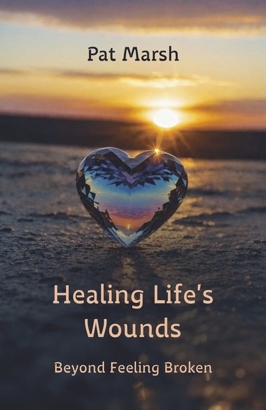 bokomslag Healing Life's Wounds