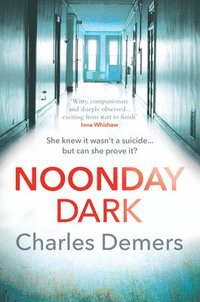 bokomslag Noonday Dark