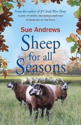 Sheep For All Seasons