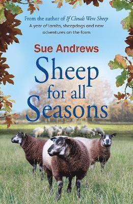 Sheep For All Seasons 1