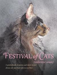 bokomslag Festival of Cats