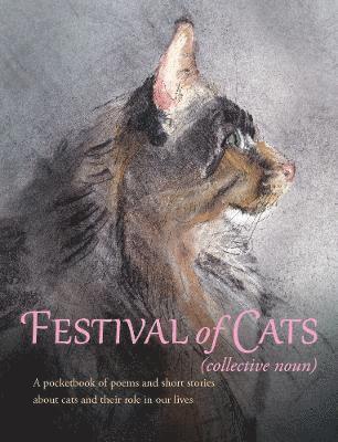 Festival of Cats 1