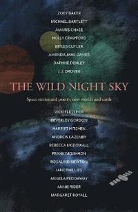 bokomslag The Wild Night Sky