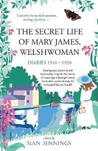 bokomslag The Secret Life of Mary James, Welshwoman