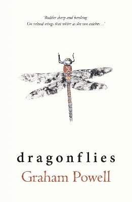 bokomslag Dragonflies