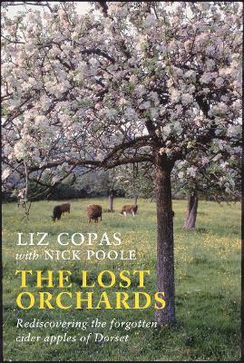 The Lost Orchards 1