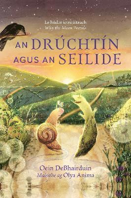 Oein DeBhairduin - Drúchtín agus an Seilide, Inbunden