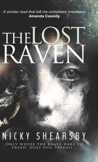 bokomslag The Lost Raven (The Flanigan Files, #2)