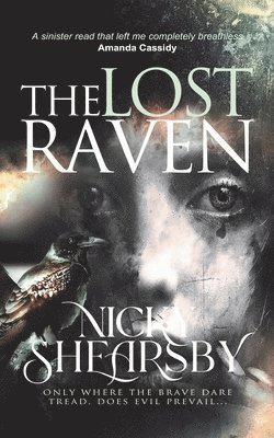 The Lost Raven (The Flanigan Files, #2) 1