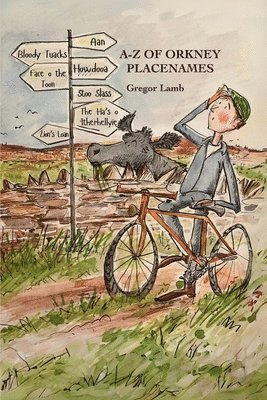 bokomslag Z of Orkney Placenames
