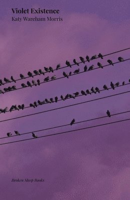 Katy Wareham Morris - Violet Existence, Häftad