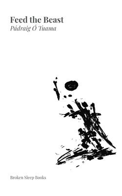 Pádraig Ó Tuama - Feed the Beast, Häftad