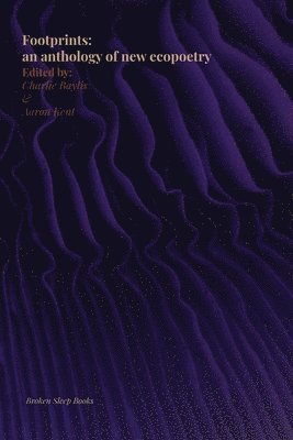 Aaron Kent, Charlie Baylis - Footprints, Häftad