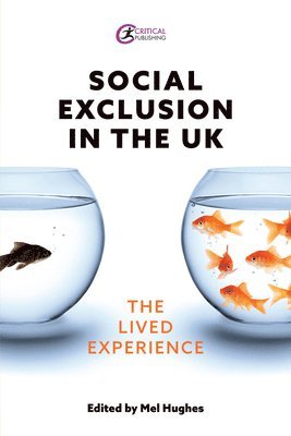 Mel Hughes - Social Exclusion in the UK, Häftad