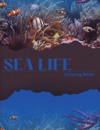 bokomslag Sea Life Coloring Book