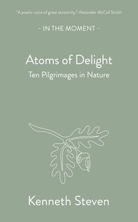 bokomslag Atoms of Delight