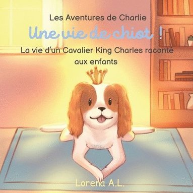 bokomslag Les Aventures de Charlie