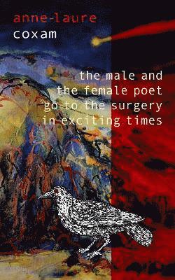 bokomslag Male and the Female Poet Go to the Surgery in Exciting Times