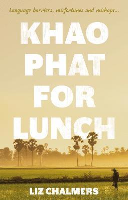 Khao Phat for Lunch 1