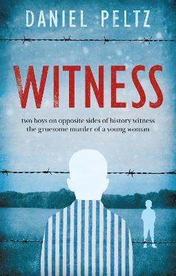 bokomslag Witness