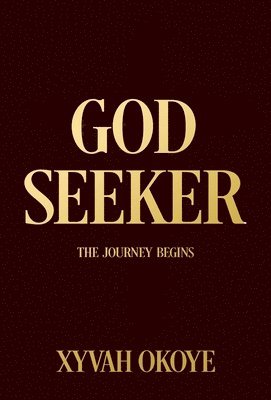 bokomslag God Seeker