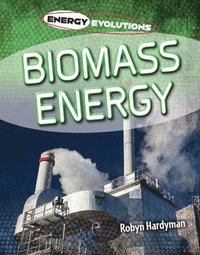 bokomslag Biomass Energy