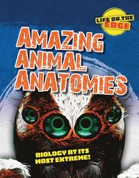 bokomslag Amazing Animal Anatomies