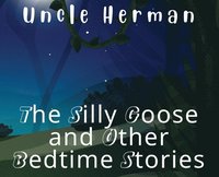 bokomslag The Silly Goose and Other Bedtime Stories