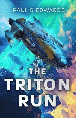 bokomslag Triton Run