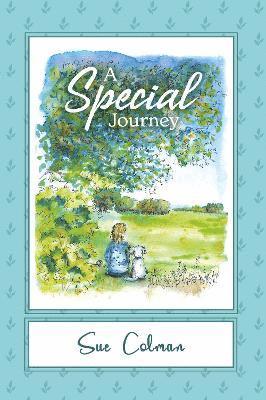 bokomslag Special Journey